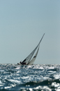 8 metre CAN-29 Venture