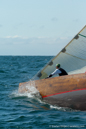 8 metre USA-36 Natural
