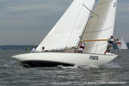 8 metre GER-13 Svanevit